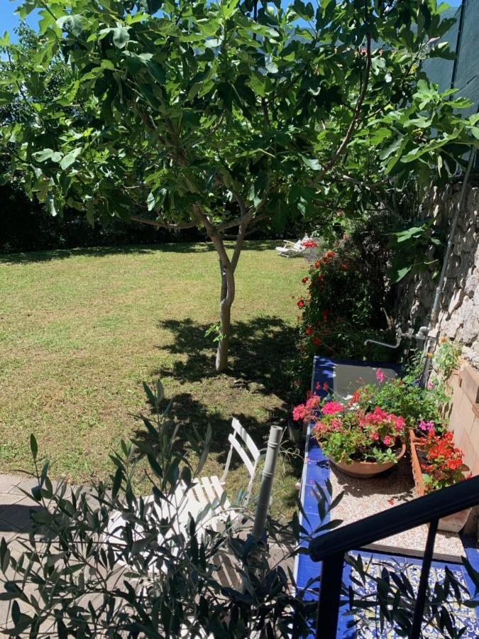 Villa Edo Lake View Tenno Exterior photo
